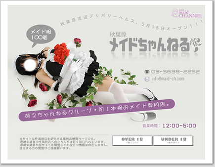 秋葉原風俗 メイドデリバリーヘルス　秋葉原メイドちゃんねる